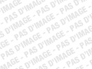Briques, tuiles, terre cuite